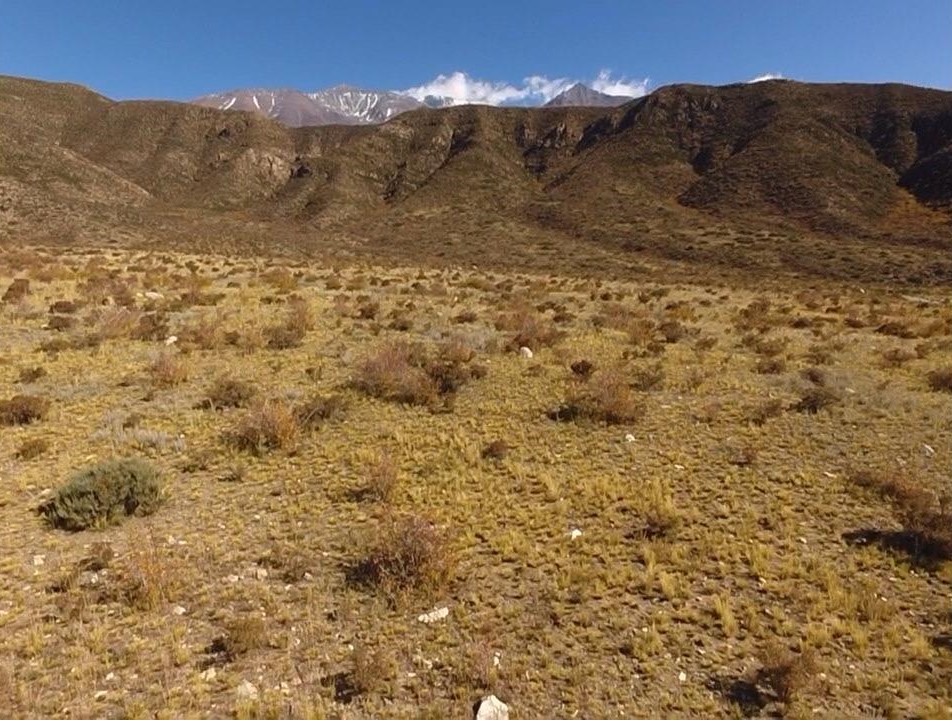 Lote, potrerillos, piedras blancas, vistas
